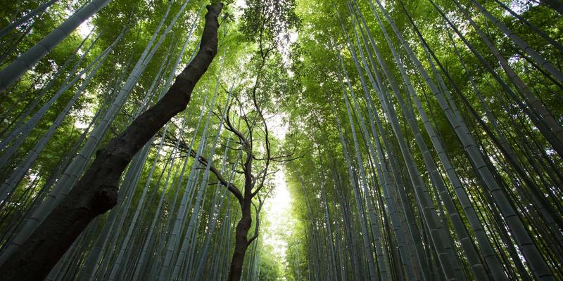 系统进阶技巧分享